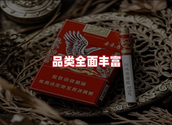 专业团队